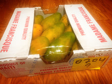 Load image into Gallery viewer, Madame Francis Mangoes - Premium quality 10lb box
